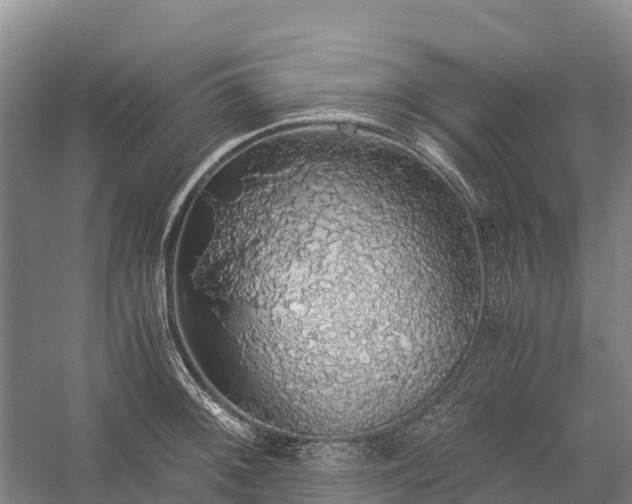 X0000058781092200510071602