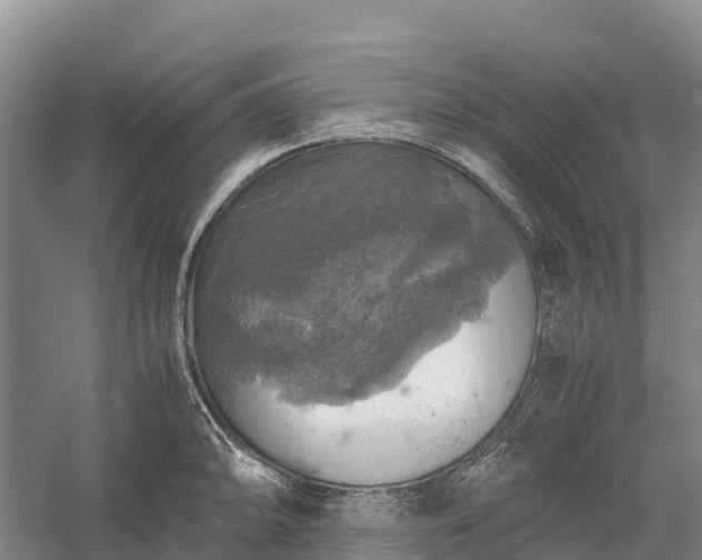 X0000058781094200510071602