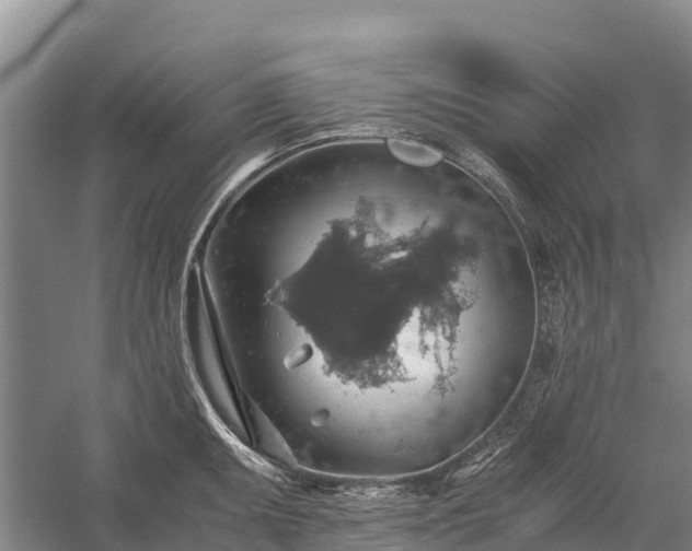 X0000058781095200510071602