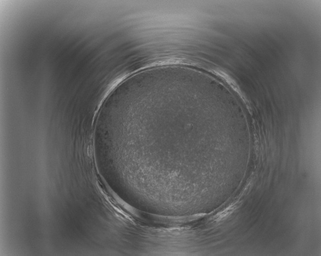 X0000058781097200510071602