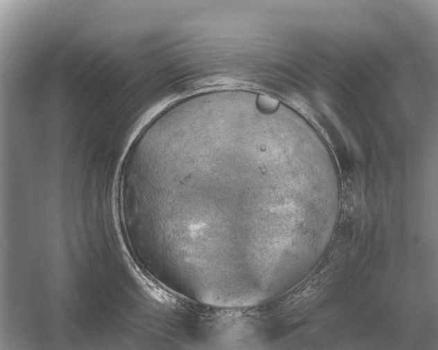 X0000058781098200510071602