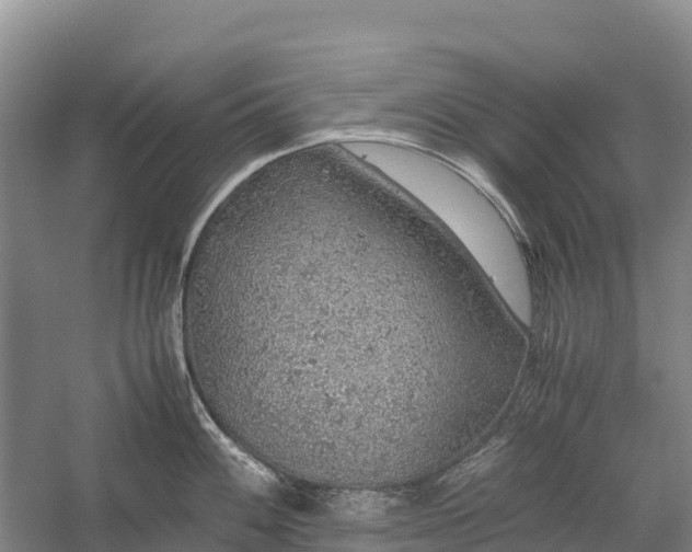 X0000058781100200510071602