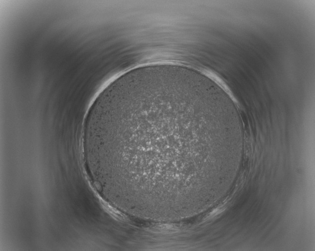 X0000058781101200510071602