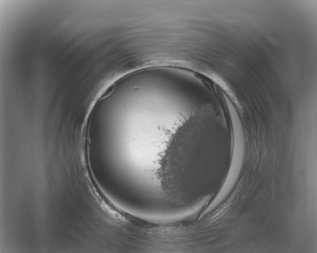 X0000058781102200510071602