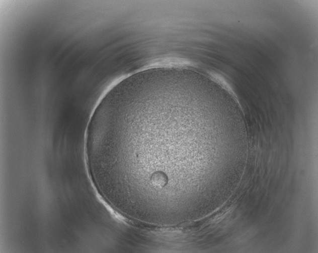 X0000058781103200510071602