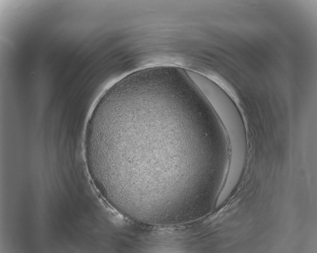 X0000058781104200510071602