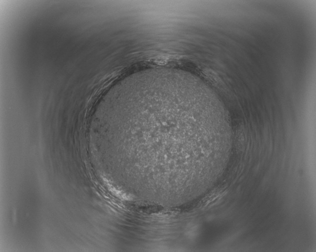 X0000058781105200510071601