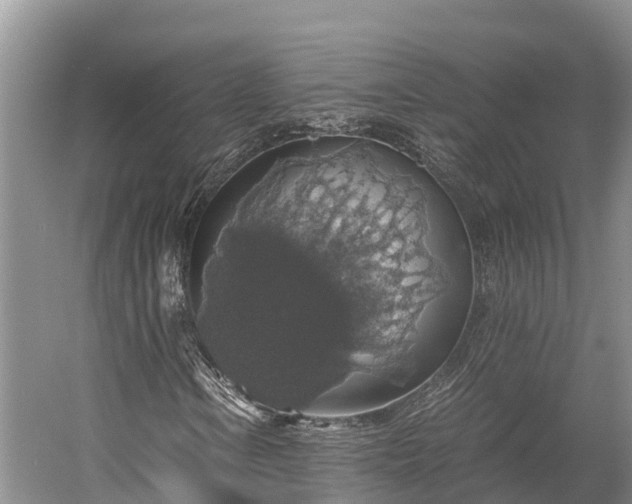 X0000058781106200510071601