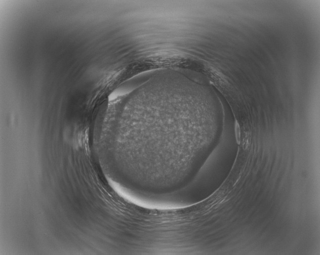 X0000058781108200510071601