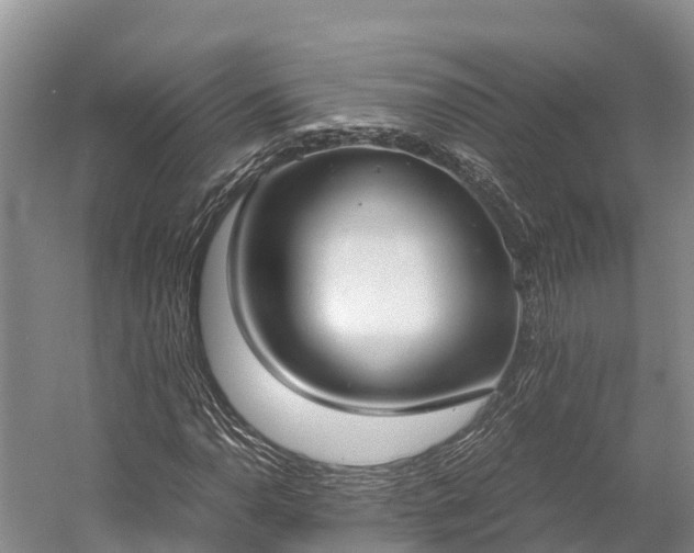 X0000058781110200510071601