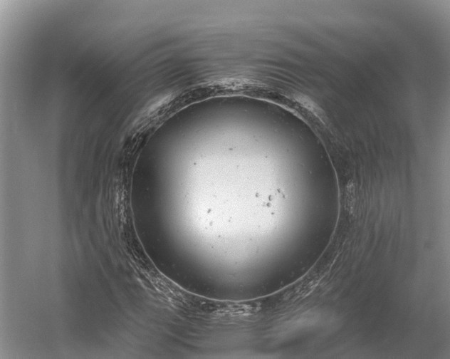 X0000058781111200510071601