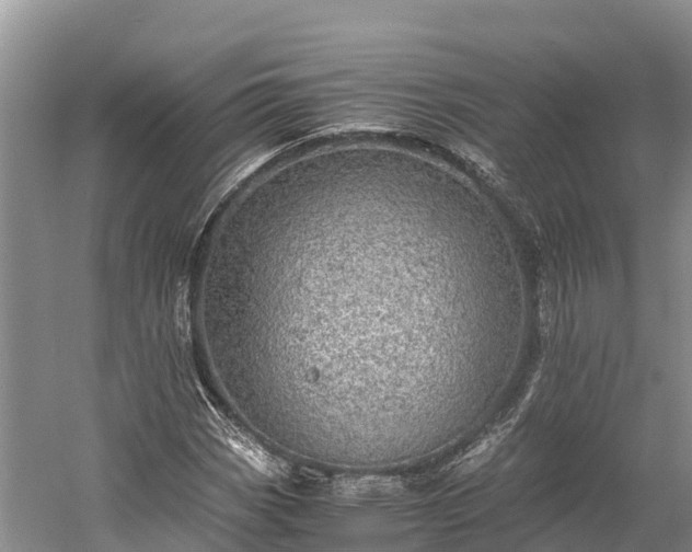 X0000058781113200510071601