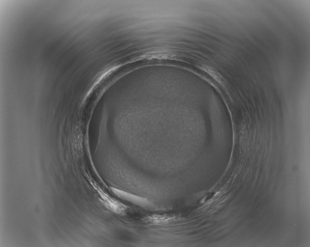 X0000058781115200510071601