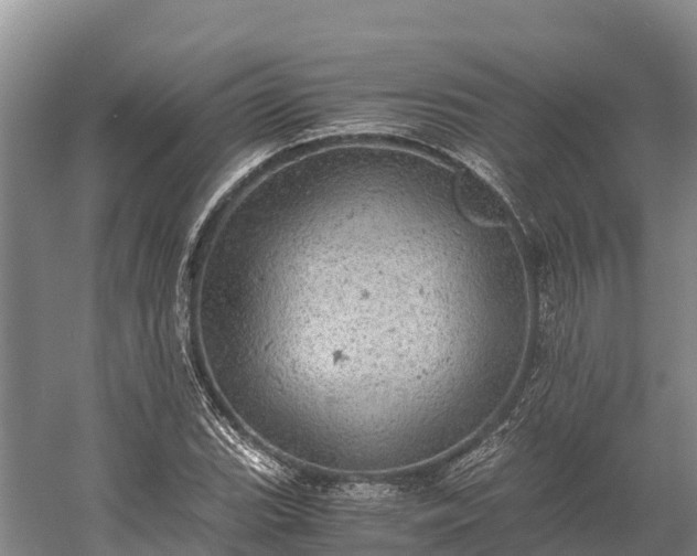 X0000058781119200510071601