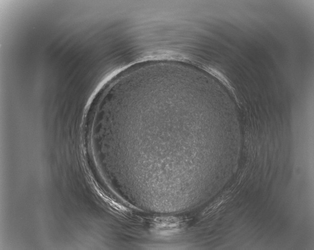 X0000058781120200510071601