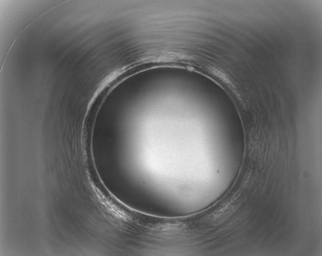 X0000058781122200510071602