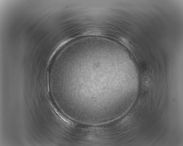 X0000058781123200510071602