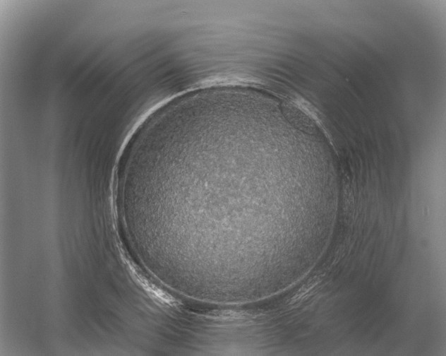 X0000058781124200510071602