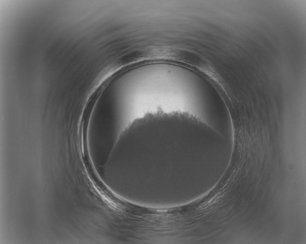 X0000058781127200510071602