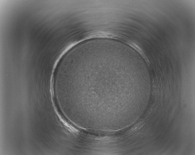 X0000058781128200510071602