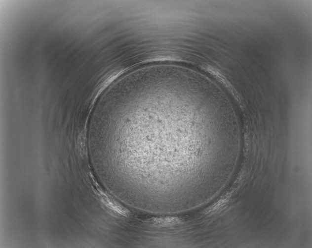 X0000058781129200510071602