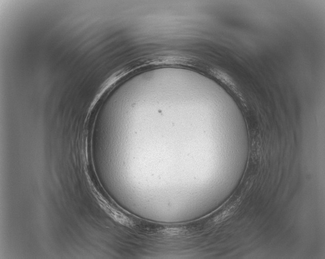 X0000058781130200510071602