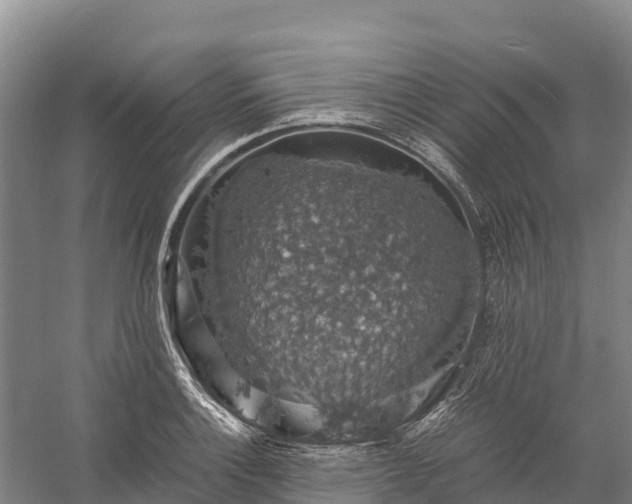 X0000058781132200510071602