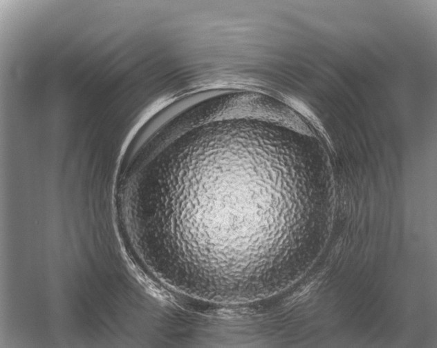 X0000058781138200510071602