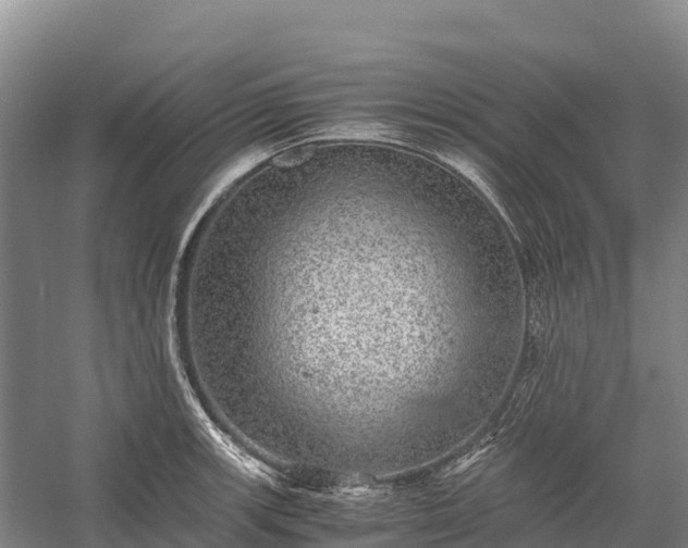 X0000058781139200510071602