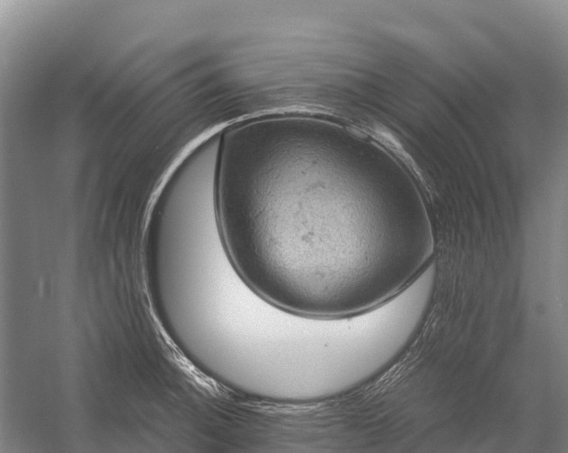 X0000058781140200510071602