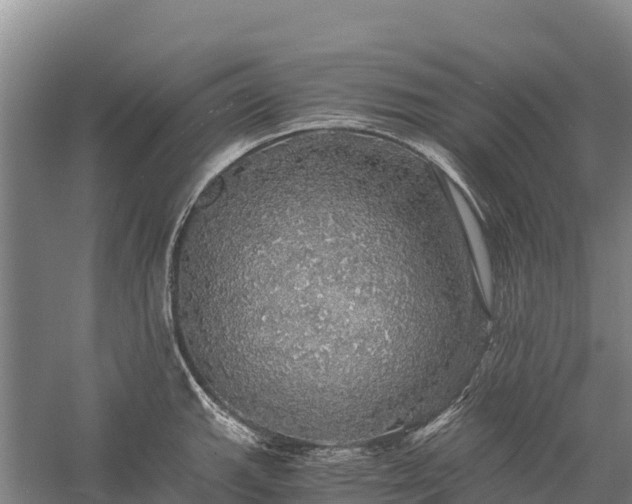 X0000058781143200510071602