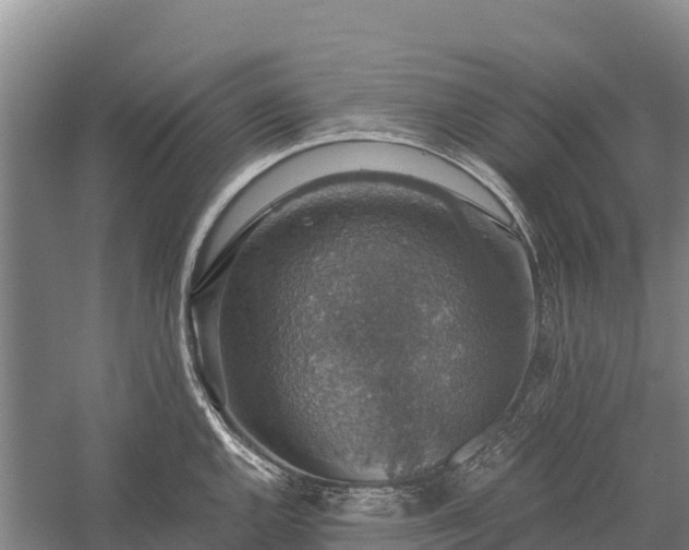 X0000058781144200510071602