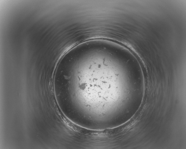 X0000058781145200510071602