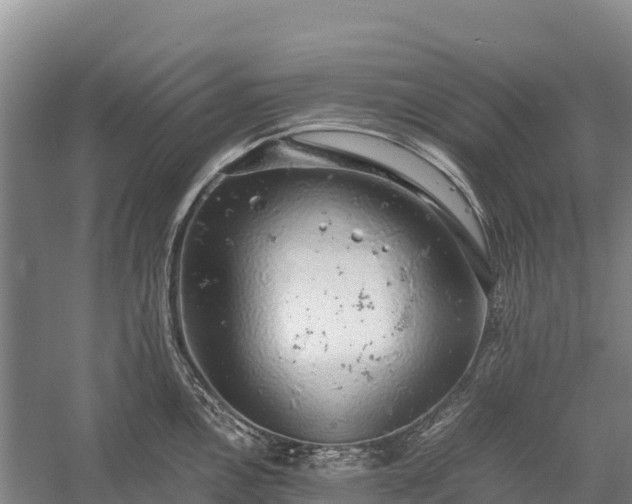 X0000058781146200510071602