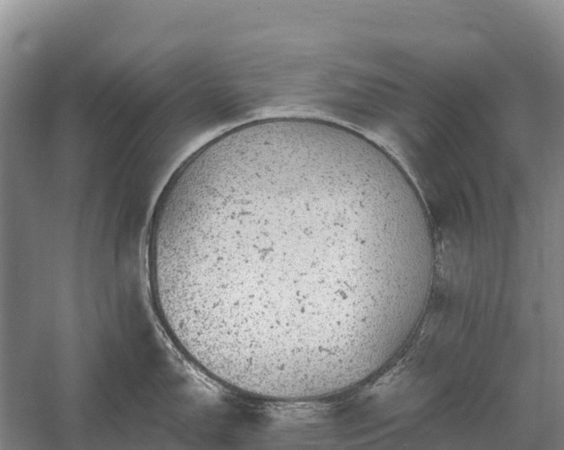 X0000058781150200510071602