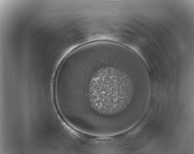 X0000058781151200510071602