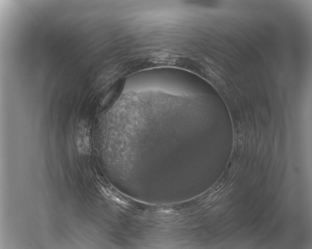 X0000058781154200510071601