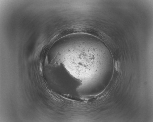 X0000058781155200510071601