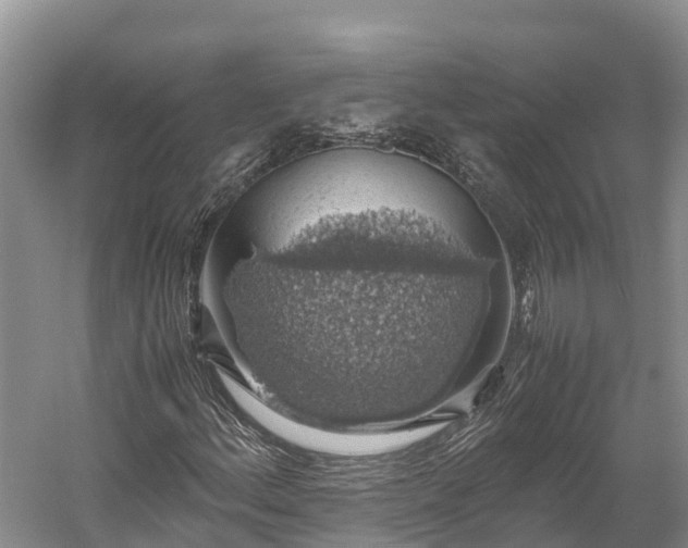 X0000058781156200510071601