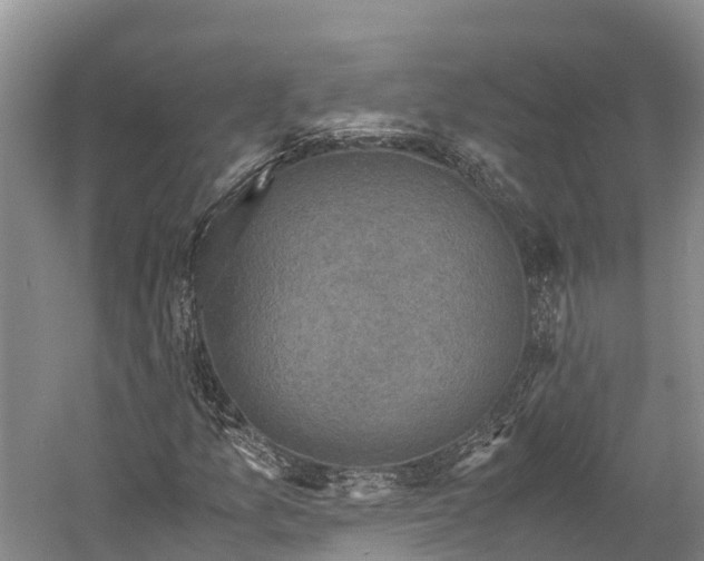 X0000058781157200510071601