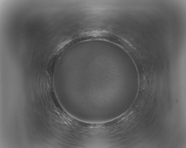 X0000058781158200510071601