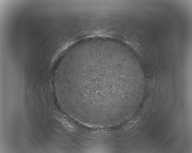 X0000058781159200510071601