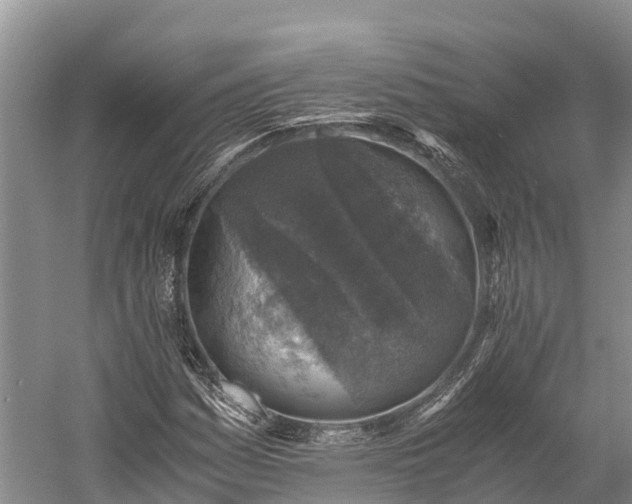 X0000058781161200510071601