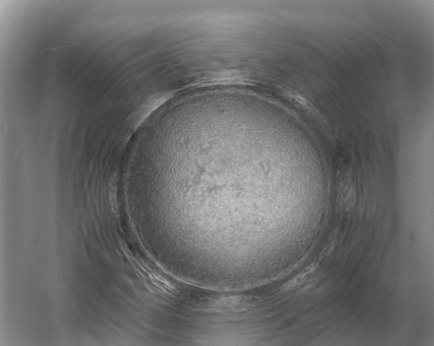 X0000058781162200510071601