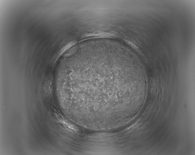 X0000058781163200510071601