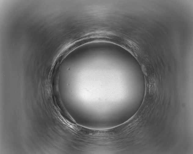 X0000058781164200510071601