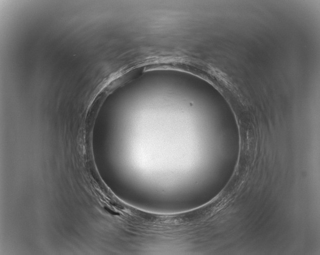 X0000058781165200510071601