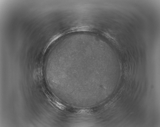 X0000058781166200510071601