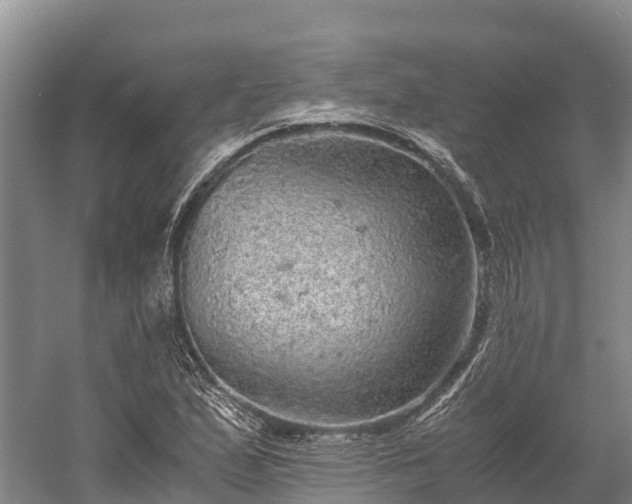 X0000058781167200510071601