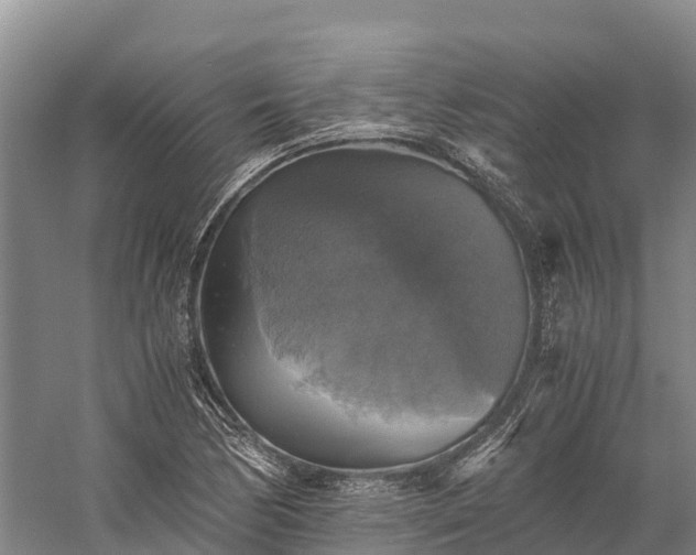 X0000058781170200510071601